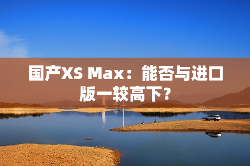 国产XS Max：能否与进口版一较高下？