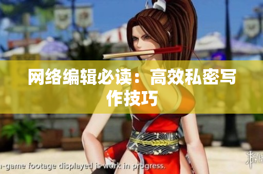 网络编辑必读：高效私密写作技巧