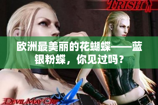 欧洲最美丽的花蝴蝶——蓝银粉蝶，你见过吗？
