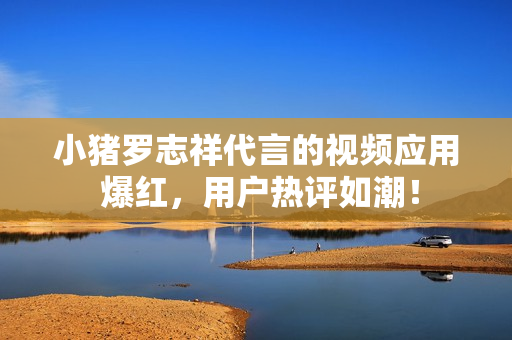 小猪罗志祥代言的视频应用 爆红，用户热评如潮！