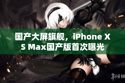 国产大屏旗舰，iPhone XS Max国产版首次曝光