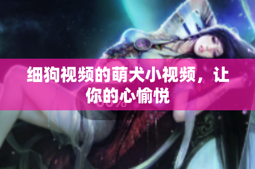 细狗视频的萌犬小视频，让你的心愉悦