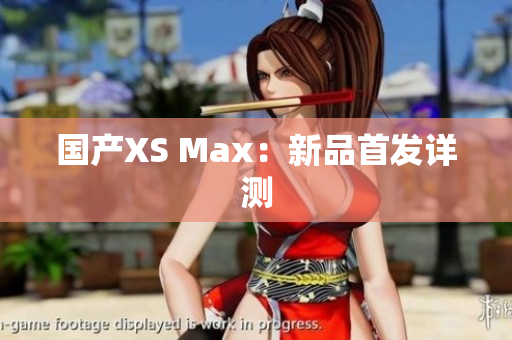 国产XS Max：新品首发详测