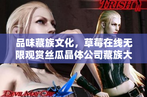 品味藏族文化，草莓在线无限观赏丝瓜晶体公司藏族大全