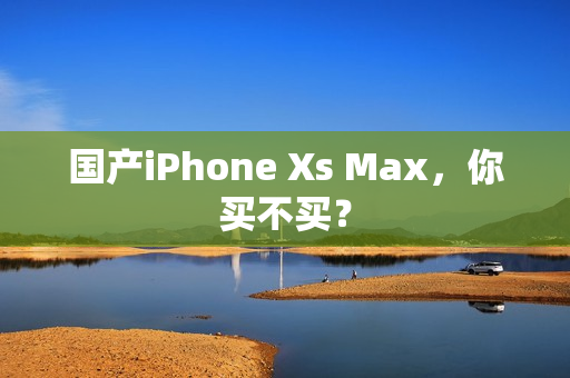 国产iPhone Xs Max，你买不买？
