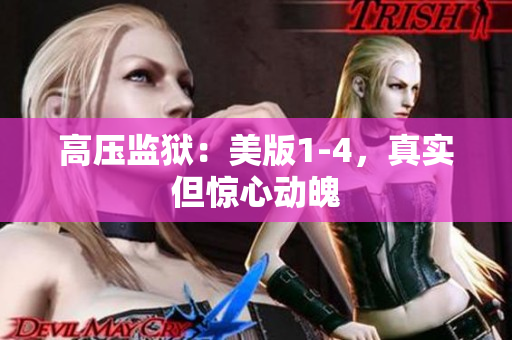 高压监狱：美版1-4，真实但惊心动魄