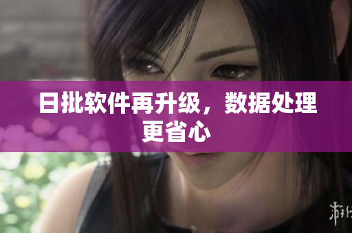 日批软件再升级，数据处理更省心