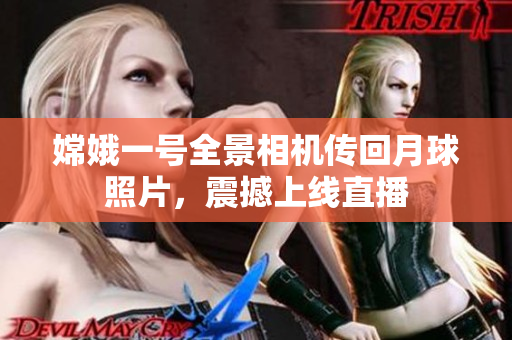 嫦娥一号全景相机传回月球照片，震撼上线直播