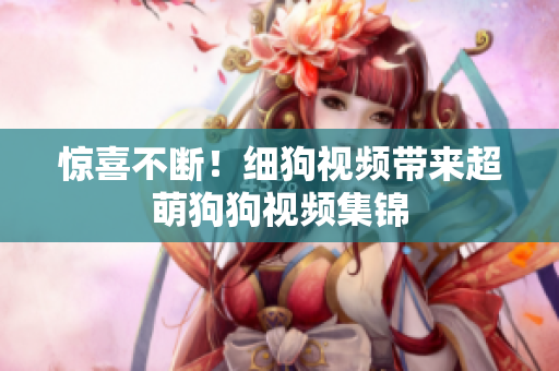 惊喜不断！细狗视频带来超萌狗狗视频集锦