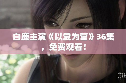 白鹿主演《以爱为营》36集，免费观看！