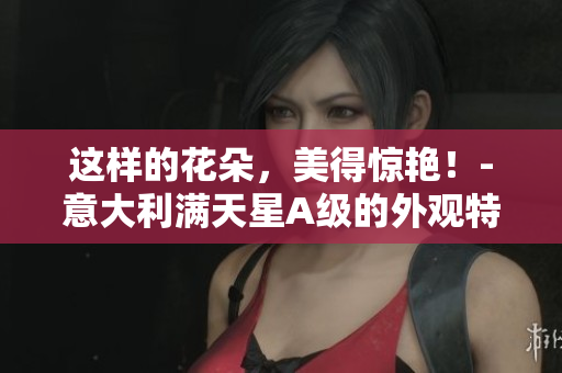 这样的花朵，美得惊艳！-意大利满天星A级的外观特点