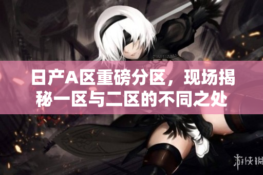 日产A区重磅分区，现场揭秘一区与二区的不同之处