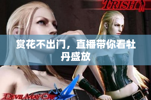 赏花不出门，直播带你看牡丹盛放