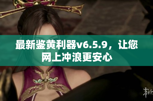 最新鉴黄利器v6.5.9，让您网上冲浪更安心