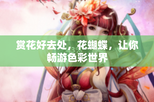赏花好去处，花蝴蝶，让你畅游色彩世界