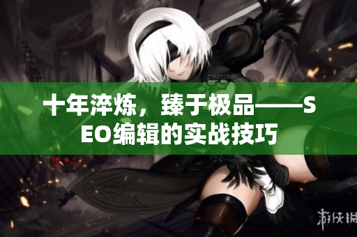 十年淬炼，臻于极品——SEO编辑的实战技巧