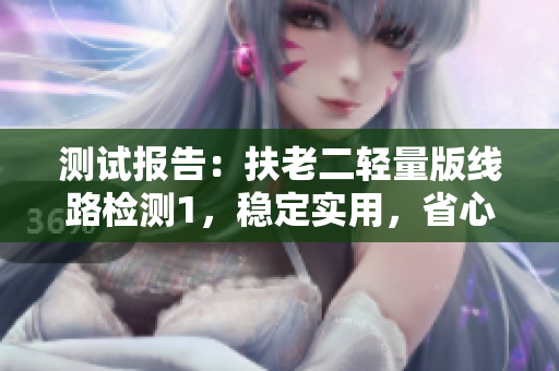 测试报告：扶老二轻量版线路检测1，稳定实用，省心省钱！