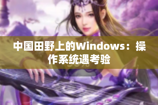 中国田野上的Windows：操作系统遇考验