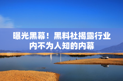 曝光黑幕！黑料社揭露行业内不为人知的内幕
