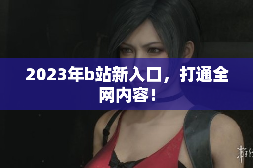 2023年b站新入口，打通全网内容！