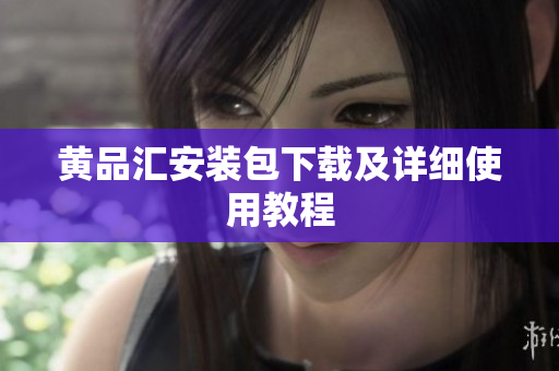黄品汇安装包下载及详细使用教程