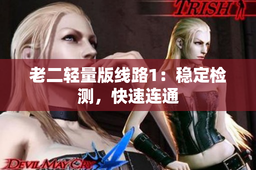 老二轻量版线路1：稳定检测，快速连通
