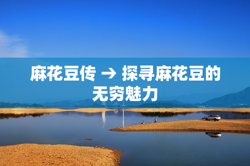 麻花豆传 → 探寻麻花豆的无穷魅力