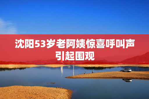 沈阳53岁老阿姨惊喜呼叫声引起围观