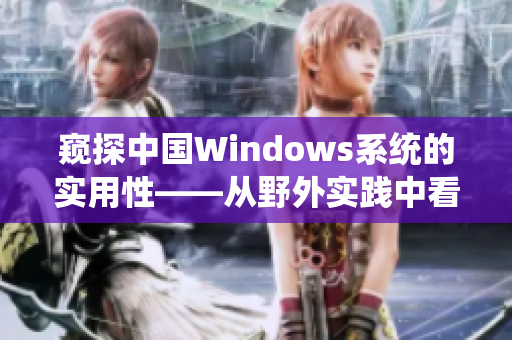 窥探中国Windows系统的实用性——从野外实践中看到了什么