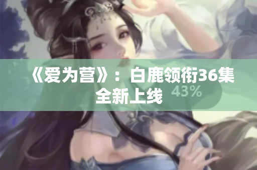 《爱为营》：白鹿领衔36集全新上线