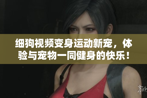 细狗视频变身运动新宠，体验与宠物一同健身的快乐！