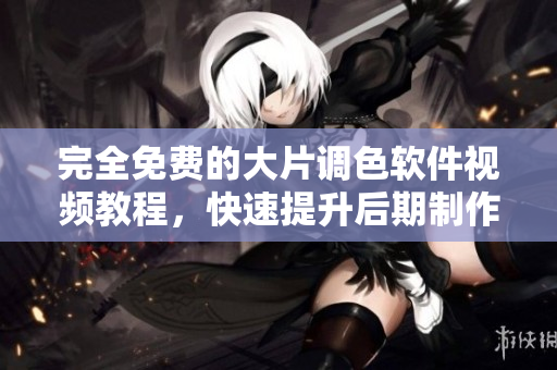 完全免费的大片调色软件视频教程，快速提升后期制作技能