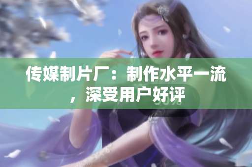 传媒制片厂：制作水平一流，深受用户好评