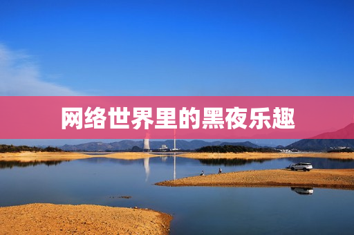 网络世界里的黑夜乐趣