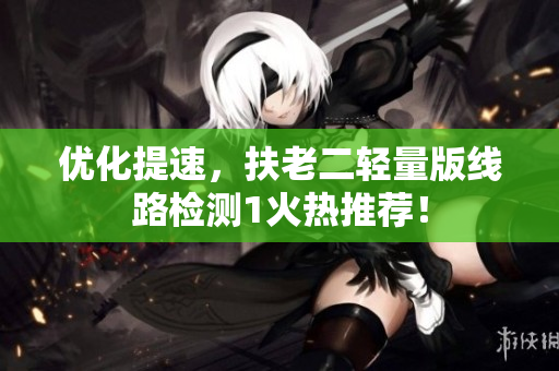 优化提速，扶老二轻量版线路检测1火热推荐！