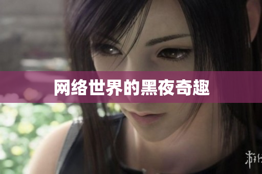 网络世界的黑夜奇趣