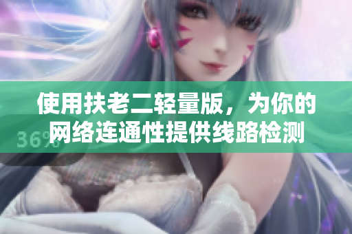 使用扶老二轻量版，为你的网络连通性提供线路检测