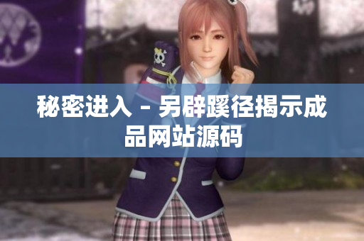 秘密进入 – 另辟蹊径揭示成品网站源码