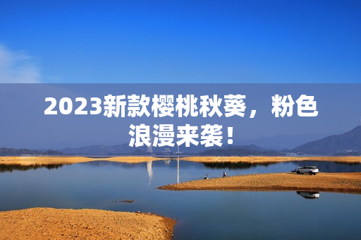 2023新款樱桃秋葵，粉色浪漫来袭！