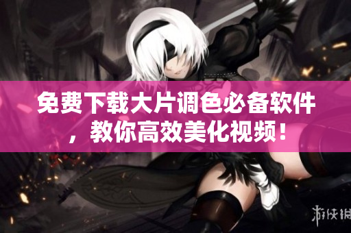 免费下载大片调色必备软件，教你高效美化视频！