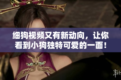细狗视频又有新动向，让你看到小狗独特可爱的一面！