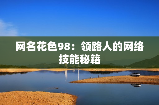 网名花色98：领路人的网络技能秘籍
