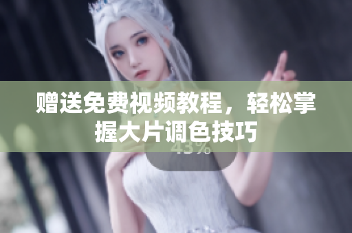 赠送免费视频教程，轻松掌握大片调色技巧