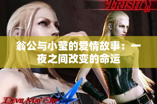 翁公与小莹的爱情故事：一夜之间改变的命运