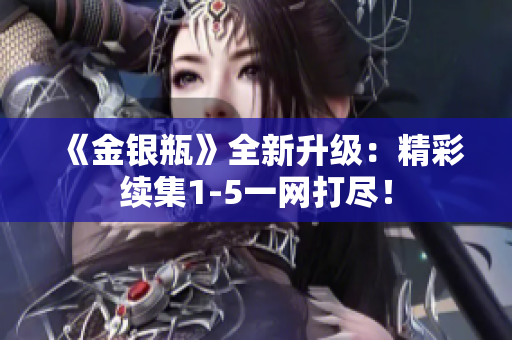 《金银瓶》全新升级：精彩续集1-5一网打尽！