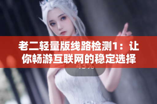 老二轻量版线路检测1：让你畅游互联网的稳定选择