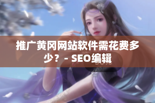 推广黄冈网站软件需花费多少？- SEO编辑