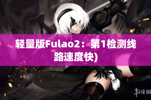 轻量版Fulao2：第1检测线路速度快)