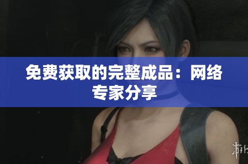 免费获取的完整成品：网络专家分享