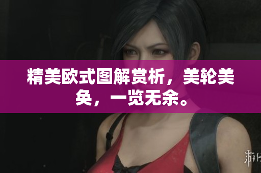 精美欧式图解赏析，美轮美奂，一览无余。